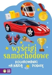 Wyścigi samochodowe - Katarzyna Fic