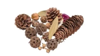 Susz dekoracyjny 30g - Brewis