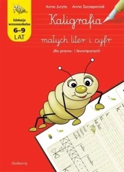 Kaligrafia małych liter i cyfr dla prawo... - Anna Juryta, Anna Szczepaniak