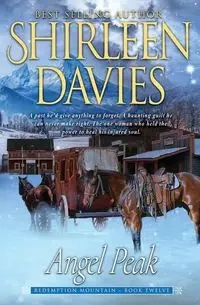 Angel Peak - Shirleen Davies