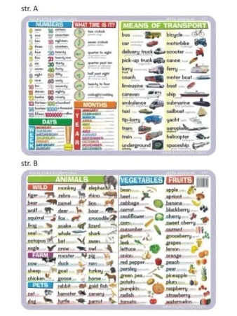 Podkładka edu. 039 - Numbers, time, calendar... - Visual System