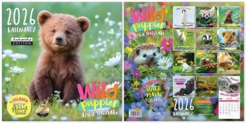 Kalendarz 2026 ścienny Classic Wild Puppies - Kukartka