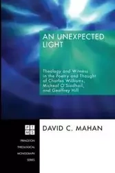 An Unexpected Light - David C. Mahan