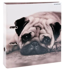 Segregator A4/70 psy - STARPAK