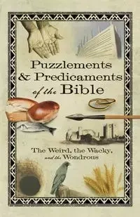 Puzzlements & Predicaments of the Bible - Linda Washington