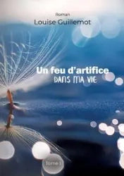 Un feu d'artifice dans ma vie - Louise Guillemot