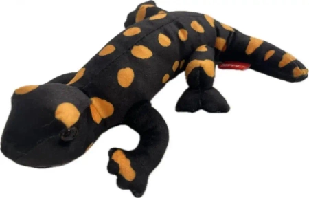 Salamandra plamista 20cm - Beppe