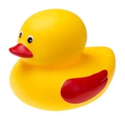 Kaczka do kąpieli - Tullo