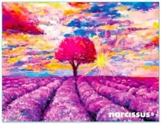 Teczka kopertowa PP A6 Lawenda - Narcissus