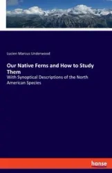 Our Native Ferns and How to Study Them - Lucien Marcus Underwood