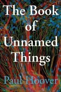 The Book of Unnamed Things - Paul Hoover