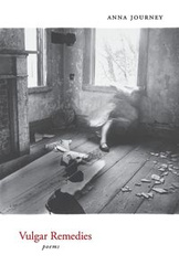 Vulgar Remedies - Anna Journey