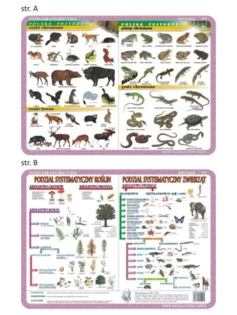 Podkładka edu. 019 - Ssaki, płazy i gady... - Visual System