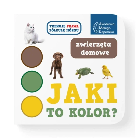 Jaki to kolor? Zwierzeta domowe - Opracowanie zbiorowe