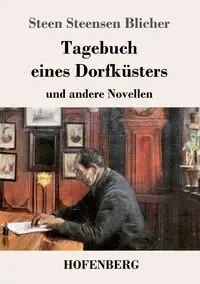 Tagebuch eines Dorfküsters - Blicher Steen Steensen