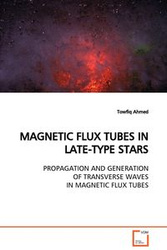 MAGNETIC FLUX TUBES IN LATE-TYPE STARS PROPAGATION AND GENERATION OF TRANSVERSE WAVES IN MAGNETIC FLUX TUBES - Ahmed Towfiq