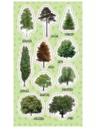 Naklejki Drzewa - Ranok-Creative