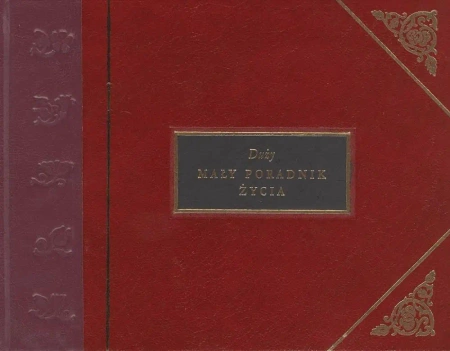 Duży mały poradnik życia - H. Jackson Brown Jr.