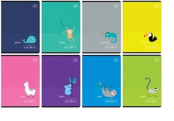 Zeszyt A5/16K linia kolor. B&B Kids Tropic (20szt) - INTERDRUK