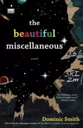 The Beautiful Miscellaneous - Dominic Smith