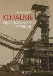 Kopalnie węgla kamiennego w Polsce - Adam Frużyński