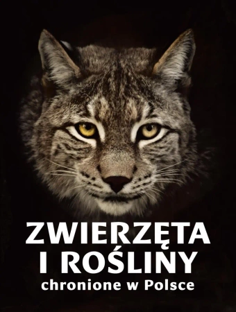 Zwierzęta i rośliny chronione w Polsce - Izabella Sieńko-Holewa, Sylwia Weber