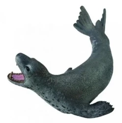 Lampart morski - Collecta