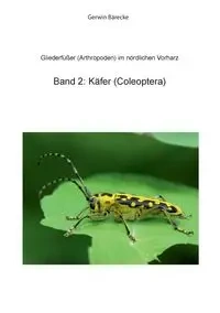 Gliederfüßer (Arthtropoden) in Goslar und Umgebung - Bärecke Gerwin