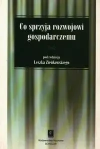 Co sprzyja rozwojowi gospodarczemu - Zienkowski Leszek