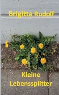 Kleine Lebenssplitter - Rudolf Brigitta