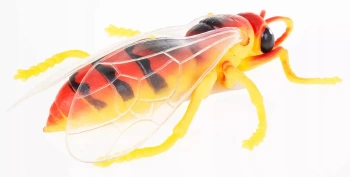 Zwierzęta z groszkiem pszczoła