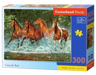 Puzzle 300 Cascade Run CASTOR - Castorland
