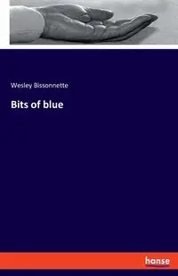 Bits of blue - Wesley Bissonnette