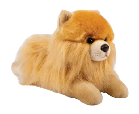 Pies Pomeranian 30 cm - SUKI plusz