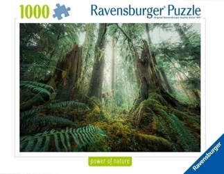 Puzzle 1000 Lasy - Ravensburger