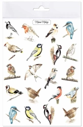 Tatuaże zmywalne Ptaki - Mama Maluje