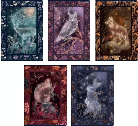 Zeszyt A5/32k kratka Fairytale Top Fol A 10