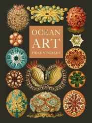 Ocean Art: From the Shore to the Deep - Helen Scales