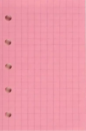 Wkład do organizera ST/kratka czerwona ANTRA