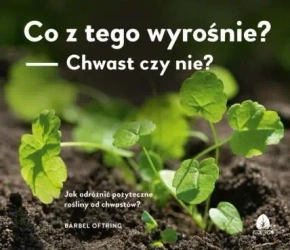 Co z tego wyrośnie? Chwast czy nie? - Barbel Oftring
