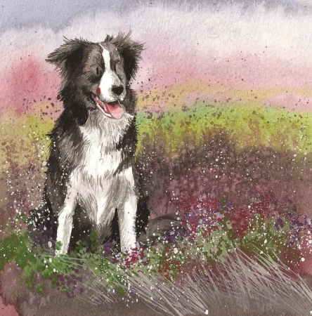 Karnet AC580 Pies Collie - Alex Clark