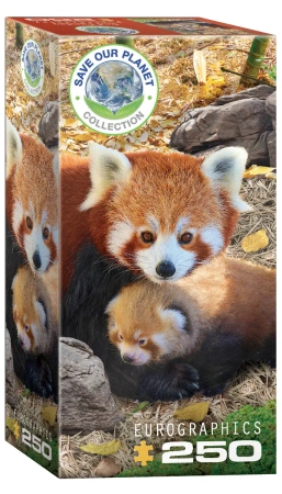 Puzzle 250 Red Pandas 8251-5557 - Eurographics