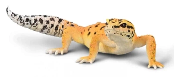 Gekon tygrysi - Collecta