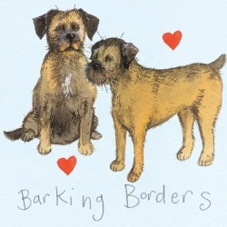 Magnes FM11 Border terrier - Alex Clark