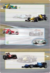 Naklejki szkolne - Formuła 6szt - Herma