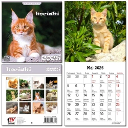 Kalendarz 2025 dla dzieci 13 planszowy Kociaki - EV-Corp kalendarze