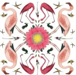 Karnet kwadrat z kopertą White-throated Toucan - Museums & Galleries