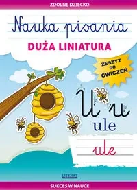 Nauka pisania. Duża liniatura. Zeszyt do ćwiczeń - Beata Guzowska