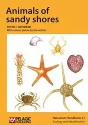 Animals of sandy shores - Peter J. Hayward