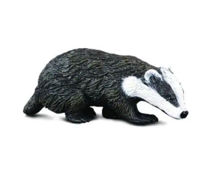 Borsuk - Collecta